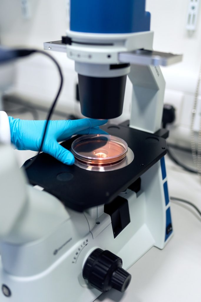 professional wearing rubber gloves using a microscope and science dish